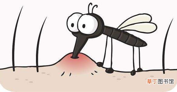 什么血型的人最招蚊子？蚊子喜欢叮咬什么样的人？防蚊小妙招