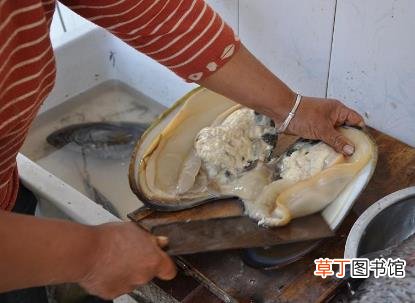 河蚌怎么清洗才干净图解 河蚌怎么做好吃 河蚌肉的做法