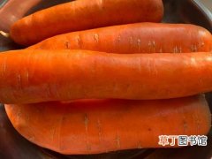 吃胡萝卜的好处和坏处，胡萝卜生吃有营养吗