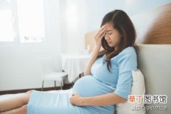 孕妇可以吃生蚝吗中期，怀孕4个月孕妇吃什么好