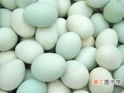 鸽子蛋怎么吃最营养，鸡蛋、鸭蛋、鹌鹑蛋、鸽子蛋