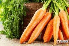 胡萝卜的功效与作用，胡萝卜怎么吃最营养？