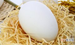鹅蛋为什么有一种难闻的味道鹅蛋的味道和鸡蛋一样吗？