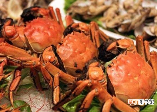 吃螃蟹有什么讲究 煮螃蟹用冷水还是热水？