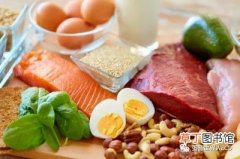 鸡蛋是高蛋白食物吗，鸡蛋中的蛋白凭啥是优质蛋白