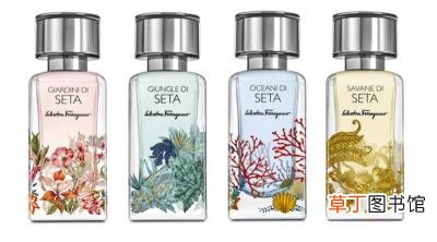 菲拉格慕香水怎么样，菲拉格慕全新丝之境香水系列