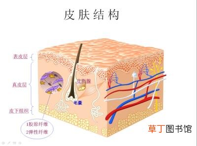 肌研透明质酸怎么样，护肤界补水神器透明质酸