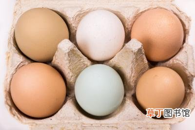 鹅蛋煮多长时间能熟，鸡蛋、鸭蛋、鹅蛋