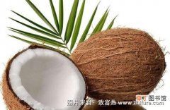 椰子栽培技术和病虫防治
