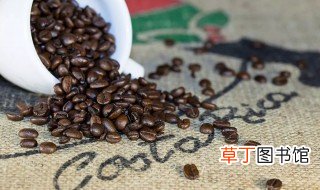 世界上最早种植咖啡的国家是哪国 世界上最早种植咖啡是哪个国家