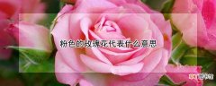 粉色的玫瑰花代表什么意思
