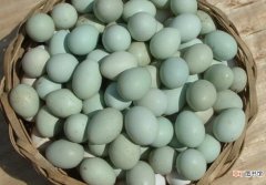 绿皮鸡蛋和白皮的区别是什么