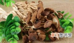 干锅腊肉茶树菇的家常做法 如何做干锅腊肉茶树菇