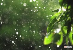 梅雨期的主要天气特征是什么