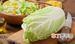 白菜炖冻豆腐怎么做最好吃 如何做白菜炖冻豆腐