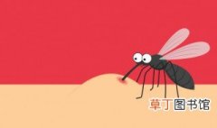 蚊蝇最怕的克星 苍蝇和蚊子最怕什么