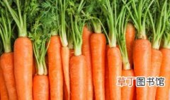 胡萝卜怎么种植方法 如何种植胡萝卜