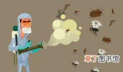 有什么方法可以治蚊子，什么方法治蚊子最有效