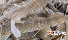 赖尿虾几月份最肥 濑尿虾什么时候吃最肥
