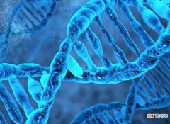 遗传学成立基础是什么