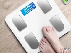 人体脂肪秤使用方法是什么