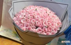 99朵粉色玫瑰花代表什么意思