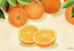 橙子是几月份的当季水果