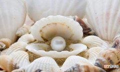 珍珠蚌怎么生出珍珠的