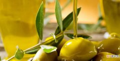橄榄油的保质期是多久