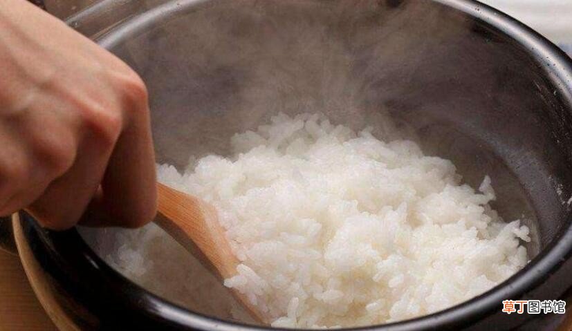 蒸米饭放多少水