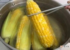 煮玉米时间越长越好吗