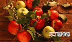 香苹果树种子种植方法 香果树种子图片