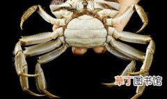 各种螃蟹几月份最肥 螃蟹什么月份最肥