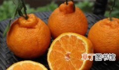 芦柑和丑橘的区别是什么 芦柑和丑橘的区别简单介绍