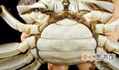 丹东海蟹什么时候最肥 丹东东沟飞蟹几月份最肥