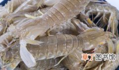 琵琶虾几月份吃最肥 琵琶虾哪个季节最肥