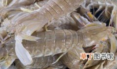 皮皮虾最肥是几月份，皮皮虾哪个月份最肥