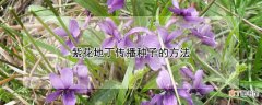 紫花地丁传播种子的方法