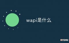 wapi是什么东西