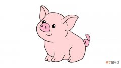小猪怎么画 小猪简笔画