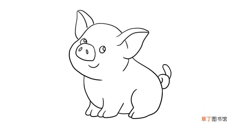 小猪怎么画 小猪简笔画