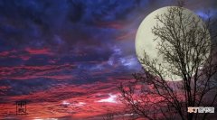 关于中秋月亮的诗句有哪些