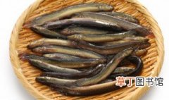 鳅鱼炖汤怎么做好吃 鳅鱼汤怎么做才好吃