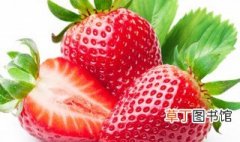 草莓花语是什么意思 草莓花语介绍