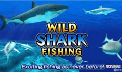 《鲨鱼海底捕鱼3D》游戏特色有哪些