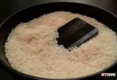手机掉水里用大米救它多久拿出来