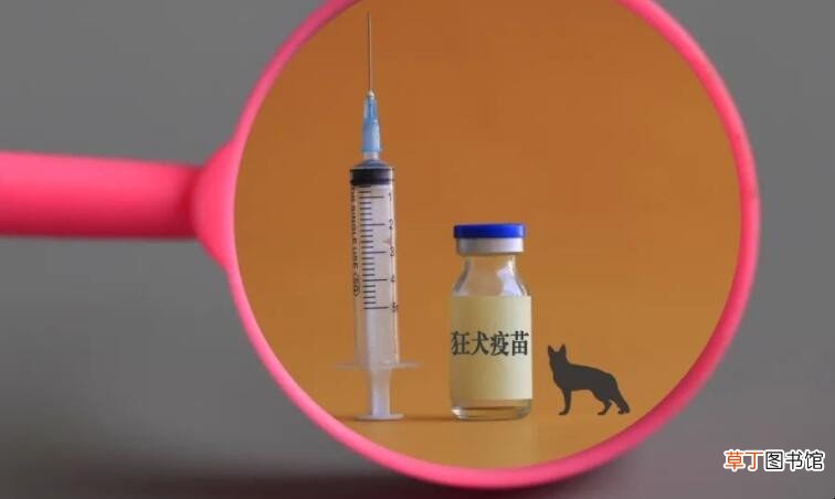 孕妇打狂犬病疫苗对胎儿有影响吗