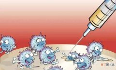 流感疫苗是灭活疫苗吗