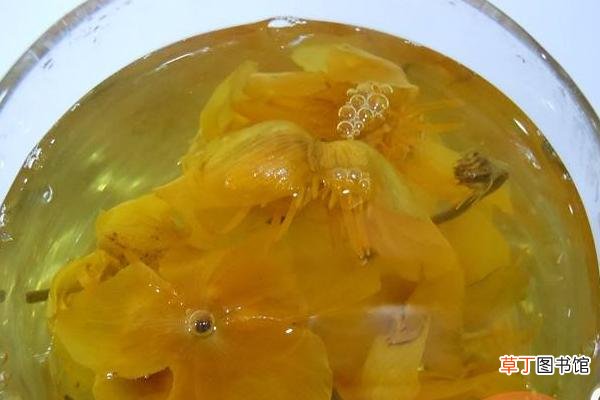 金莲花泡水用几朵 金莲花茶可以长期喝吗