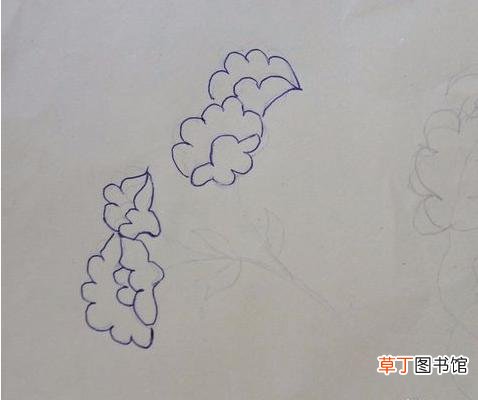 简笔画图解步骤 鸡冠花怎么画 什么是简笔画